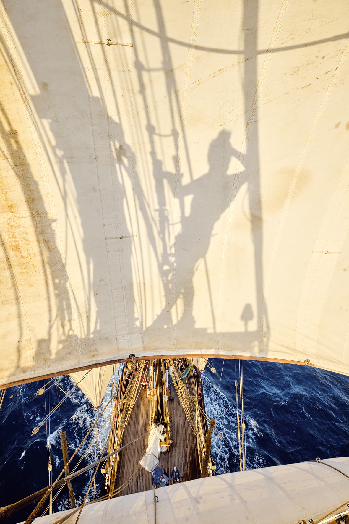 9.5. 17 Uhr Führung mit Prof. Katharina Bosse