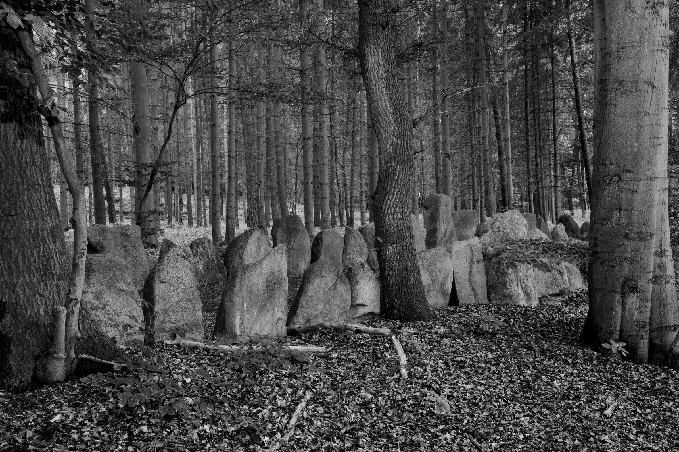 Artist Talk 21.05. | 18 Uhr „Thingstätten“mit Daniel Mirer (USA) und Katharina Bosse